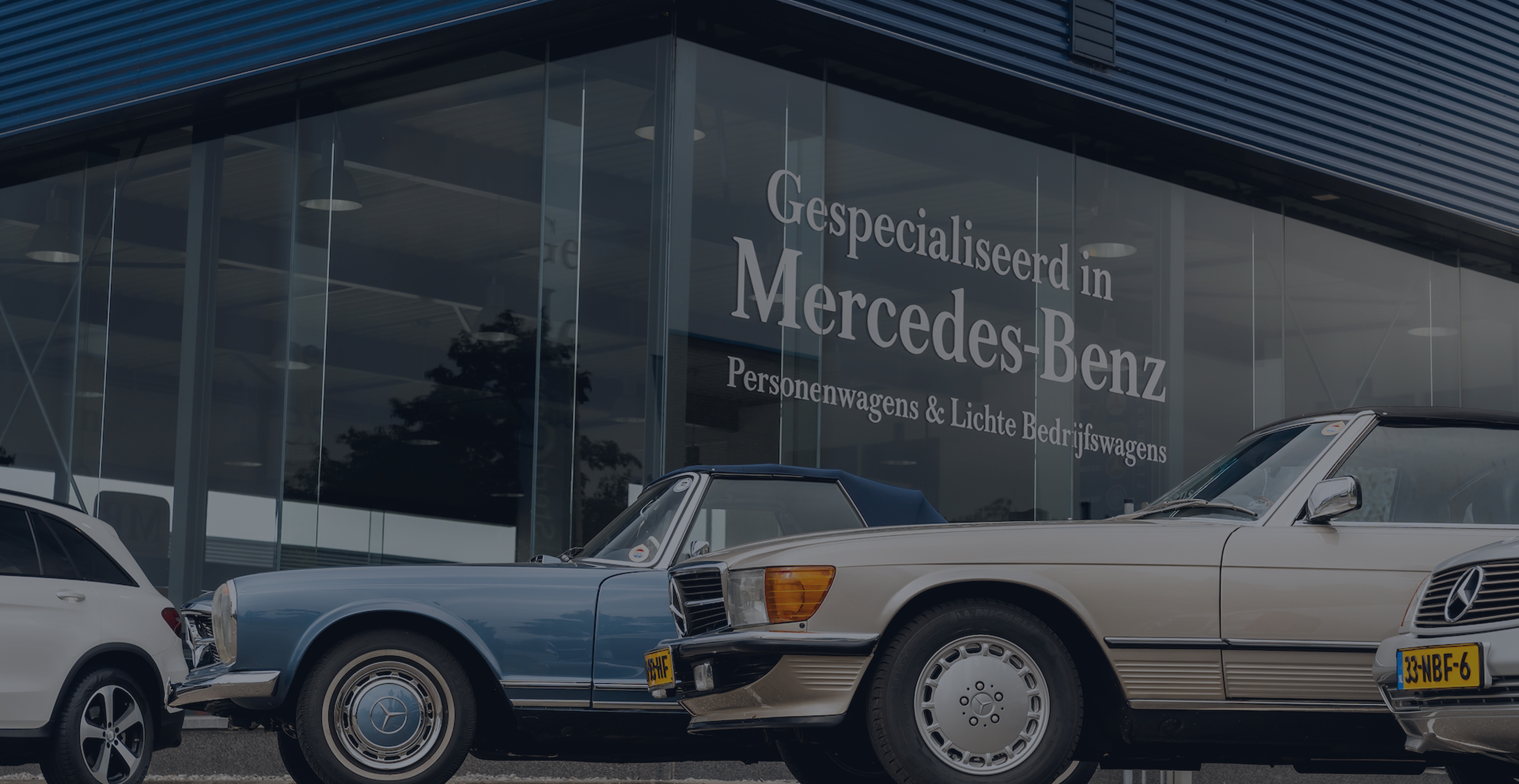 Header Image 4